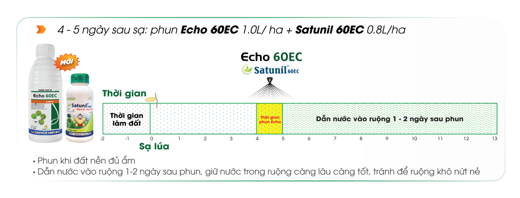 Echo-60EC-hau-nay-mam-cung-Satunil